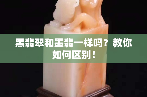 黑翡翠和墨翡一样吗？教你如何区别！