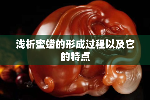 浅析蜜蜡的形成过程以及它的特点