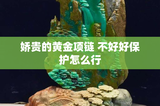娇贵的黄金项链 不好好保护怎么行