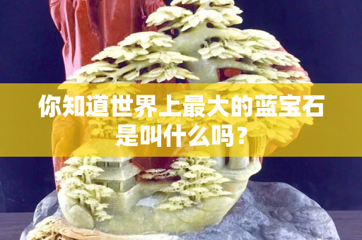 你知道世界上最大的蓝宝石是叫什么吗？