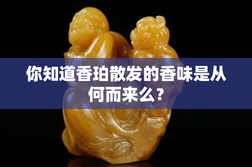你知道香珀散发的香味是从何而来么？