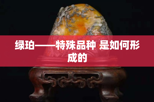 绿珀——特殊品种 是如何形成的