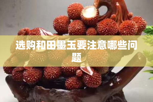 选购和田墨玉要注意哪些问题
