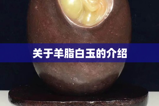 关于羊脂白玉的介绍