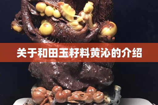 关于和田玉籽料黄沁的介绍