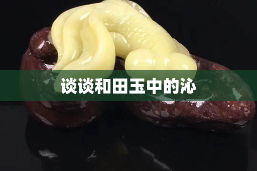 谈谈和田玉中的沁