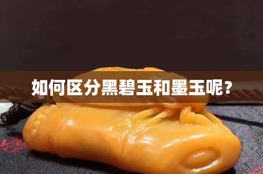 如何区分黑碧玉和墨玉呢？