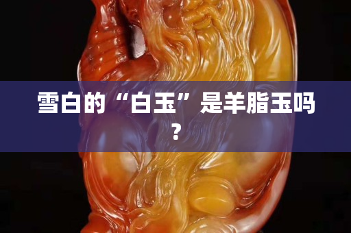 雪白的“白玉”是羊脂玉吗?