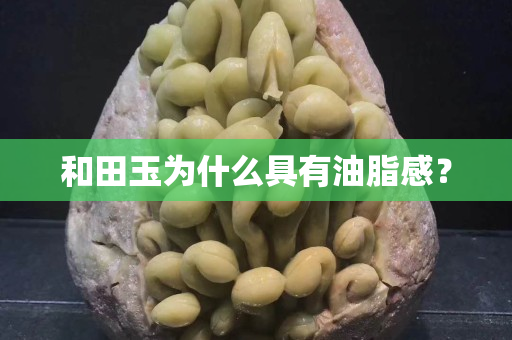 和田玉为什么具有油脂感？