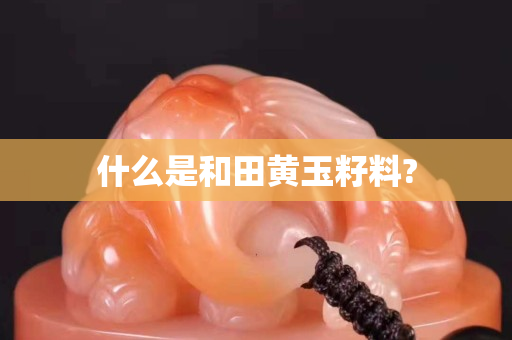 什么是和田黄玉籽料?
