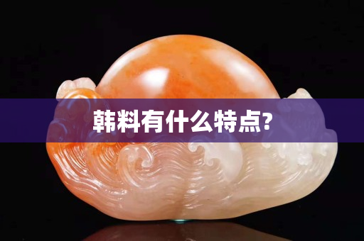韩料有什么特点?