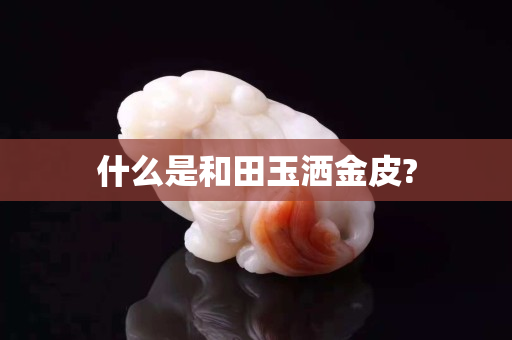 什么是和田玉洒金皮?