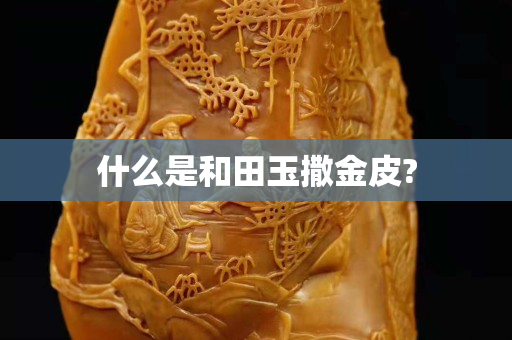 什么是和田玉撒金皮?