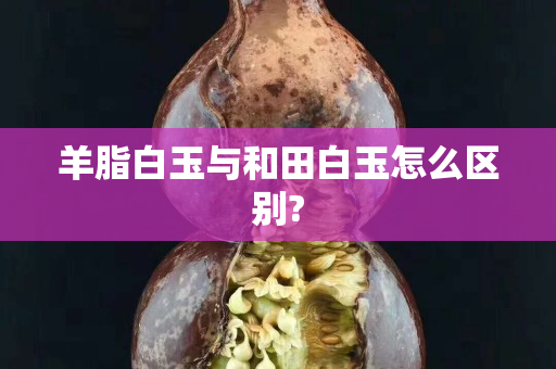 羊脂白玉与和田白玉怎么区别?