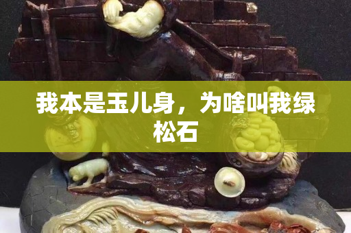 我本是玉儿身，为啥叫我绿松石