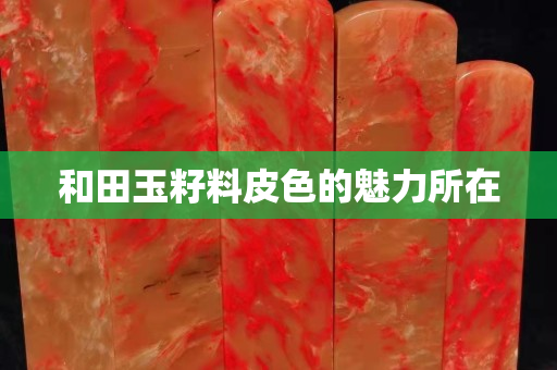 和田玉籽料皮色的魅力所在