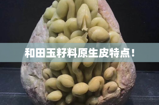 和田玉籽料原生皮特点！