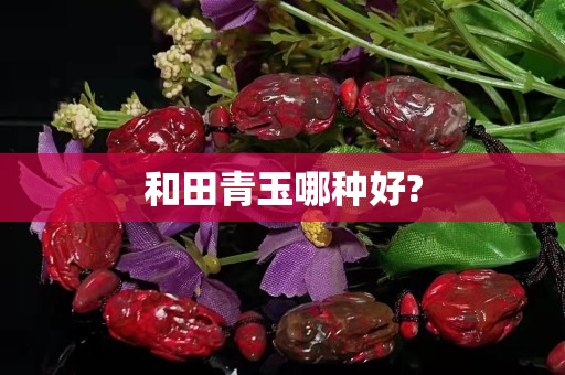 和田青玉哪种好?