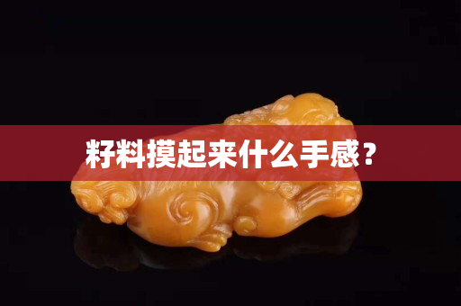 籽料摸起来什么手感？