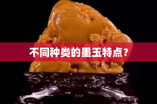 不同种类的墨玉特点？