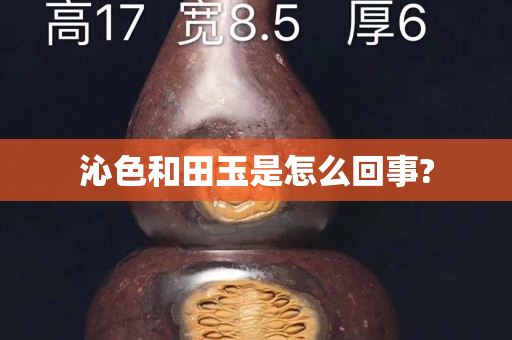 沁色和田玉是怎么回事?