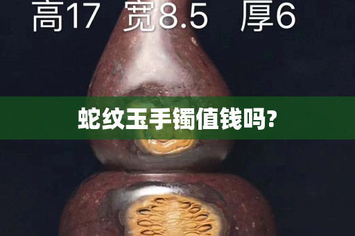 蛇纹玉手镯值钱吗?