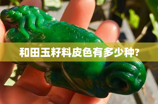 和田玉籽料皮色有多少种?