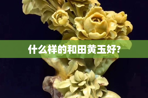 什么样的和田黄玉好?