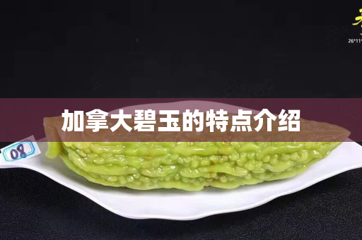 加拿大碧玉的特点介绍