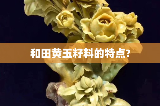 和田黄玉籽料的特点?