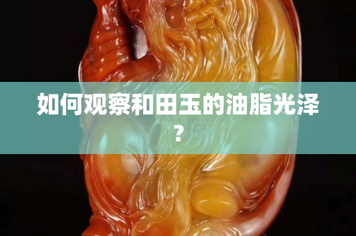 如何观察和田玉的油脂光泽?