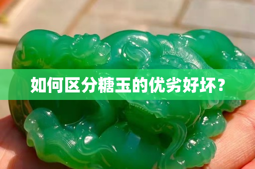 如何区分糖玉的优劣好坏？