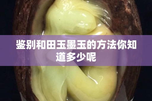 鉴别和田玉墨玉的方法你知道多少呢