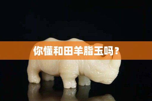 你懂和田羊脂玉吗？