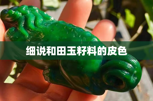细说和田玉籽料的皮色