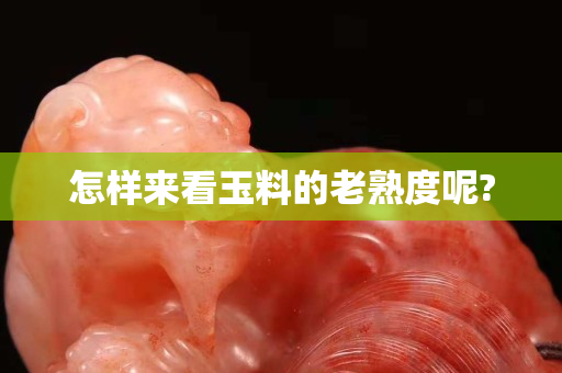 怎样来看玉料的老熟度呢?