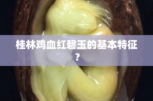 桂林鸡血红碧玉的基本特征？