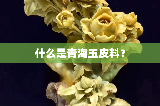 什么是青海玉皮料？