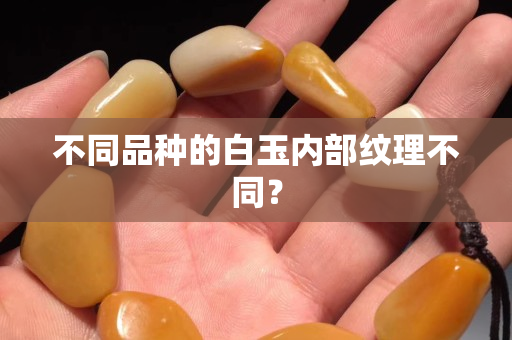 不同品种的白玉内部纹理不同？