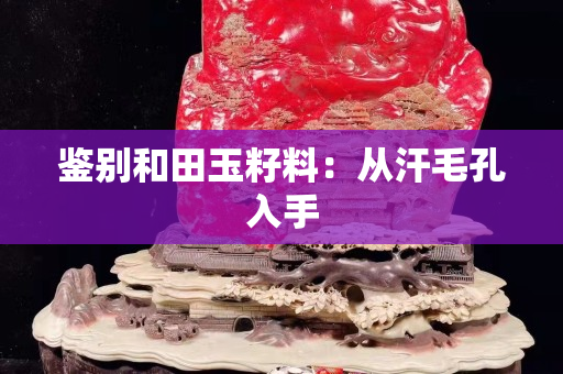 鉴别和田玉籽料：从汗毛孔入手