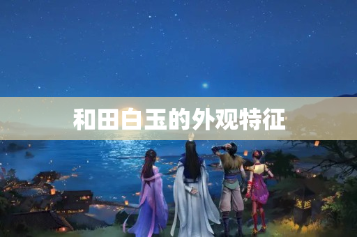 和田白玉的外观特征