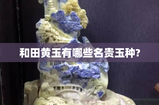 和田黄玉有哪些名贵玉种?