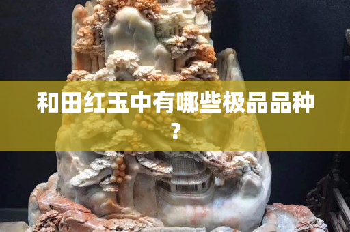 和田红玉中有哪些极品品种?