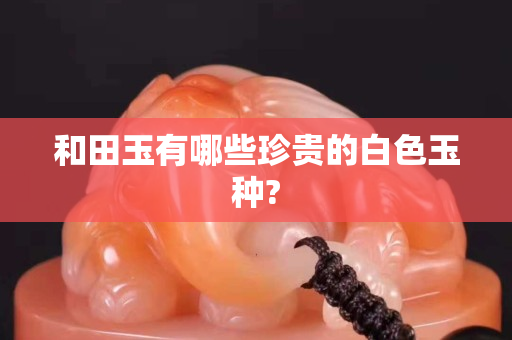 和田玉有哪些珍贵的白色玉种?