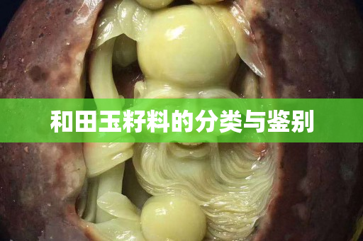 和田玉籽料的分类与鉴别