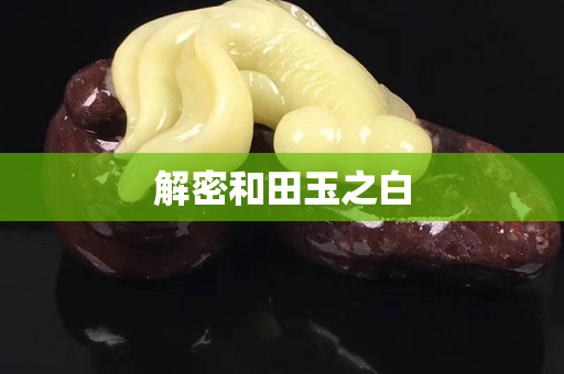 解密和田玉之白