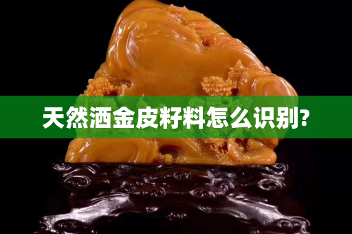 天然洒金皮籽料怎么识别?