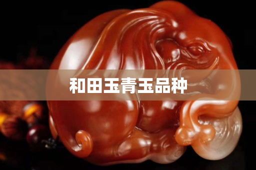 和田玉青玉品种