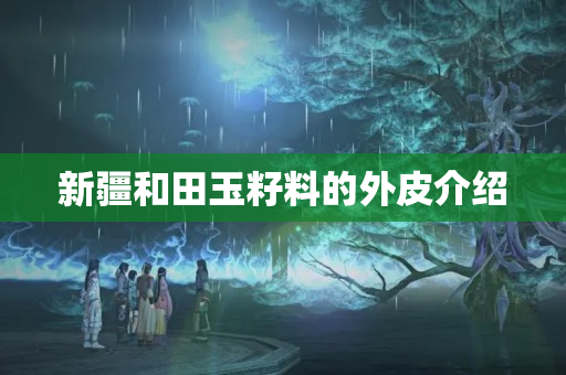 新疆和田玉籽料的外皮介绍