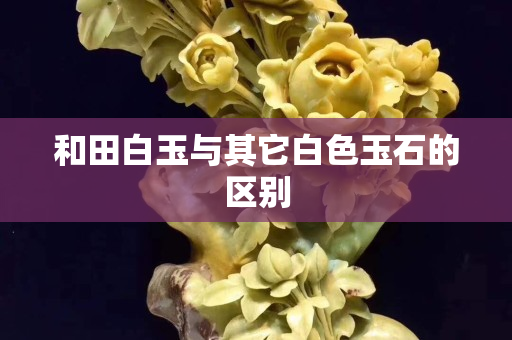 和田白玉与其它白色玉石的区别